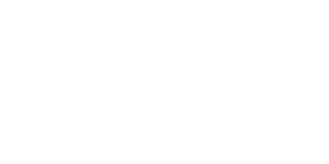 Logo Item